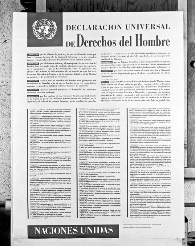 Declaración universal de los derechos del hombre (español)