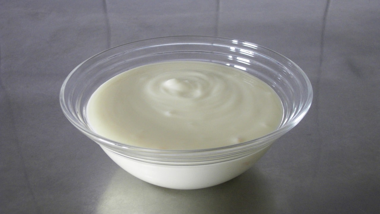 Ine Fotografía de yogur natural